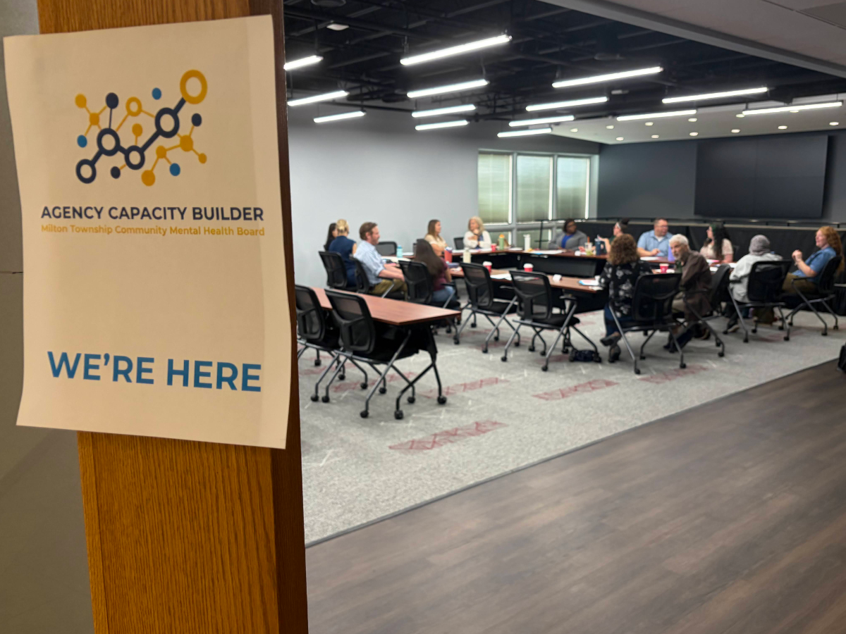 An Agency Capacity Builder session, the program that grew out of a needs assessment